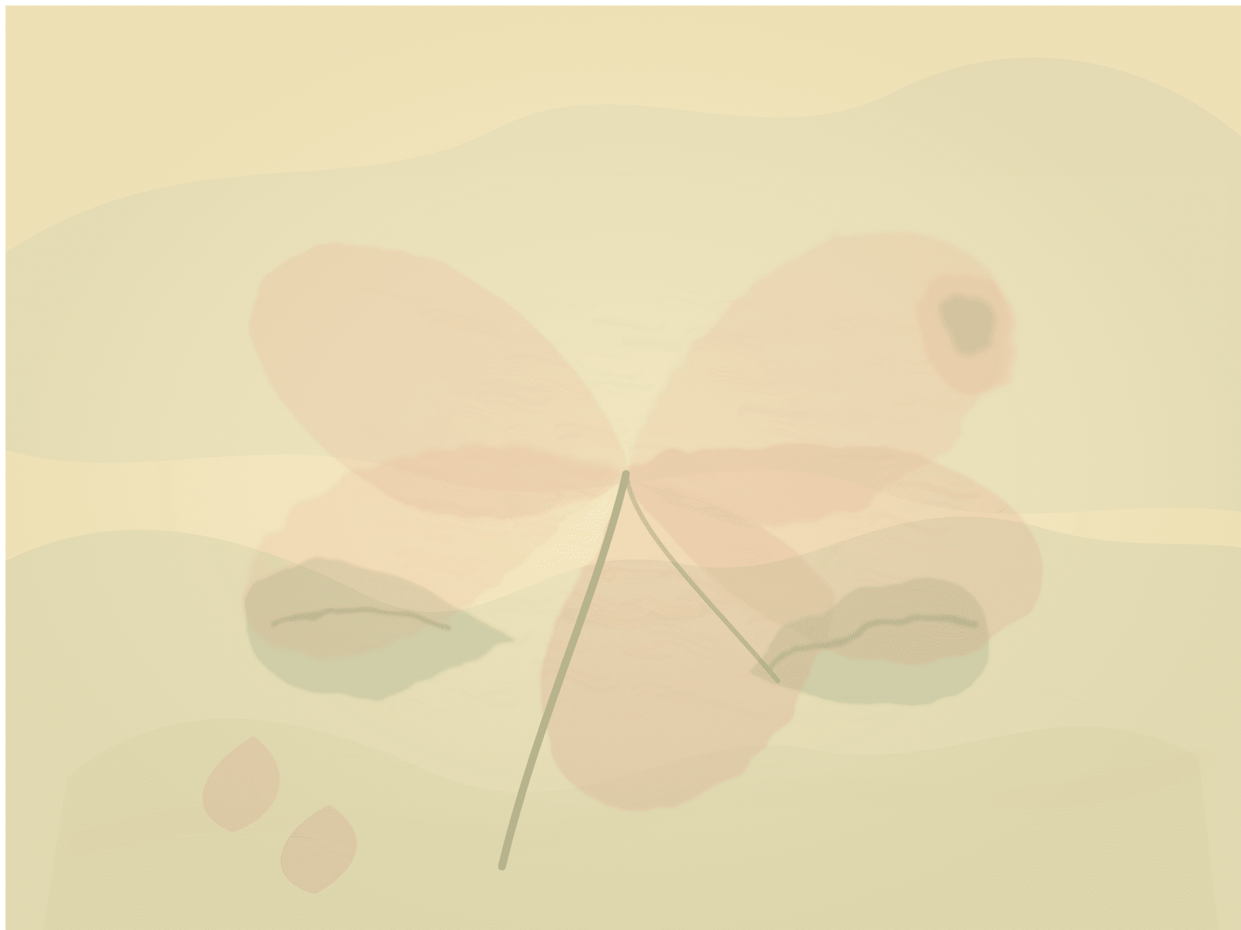 2026-08-24-displaced-watercolor-svg-engine · variant-0, rendered by Unattributed renderer