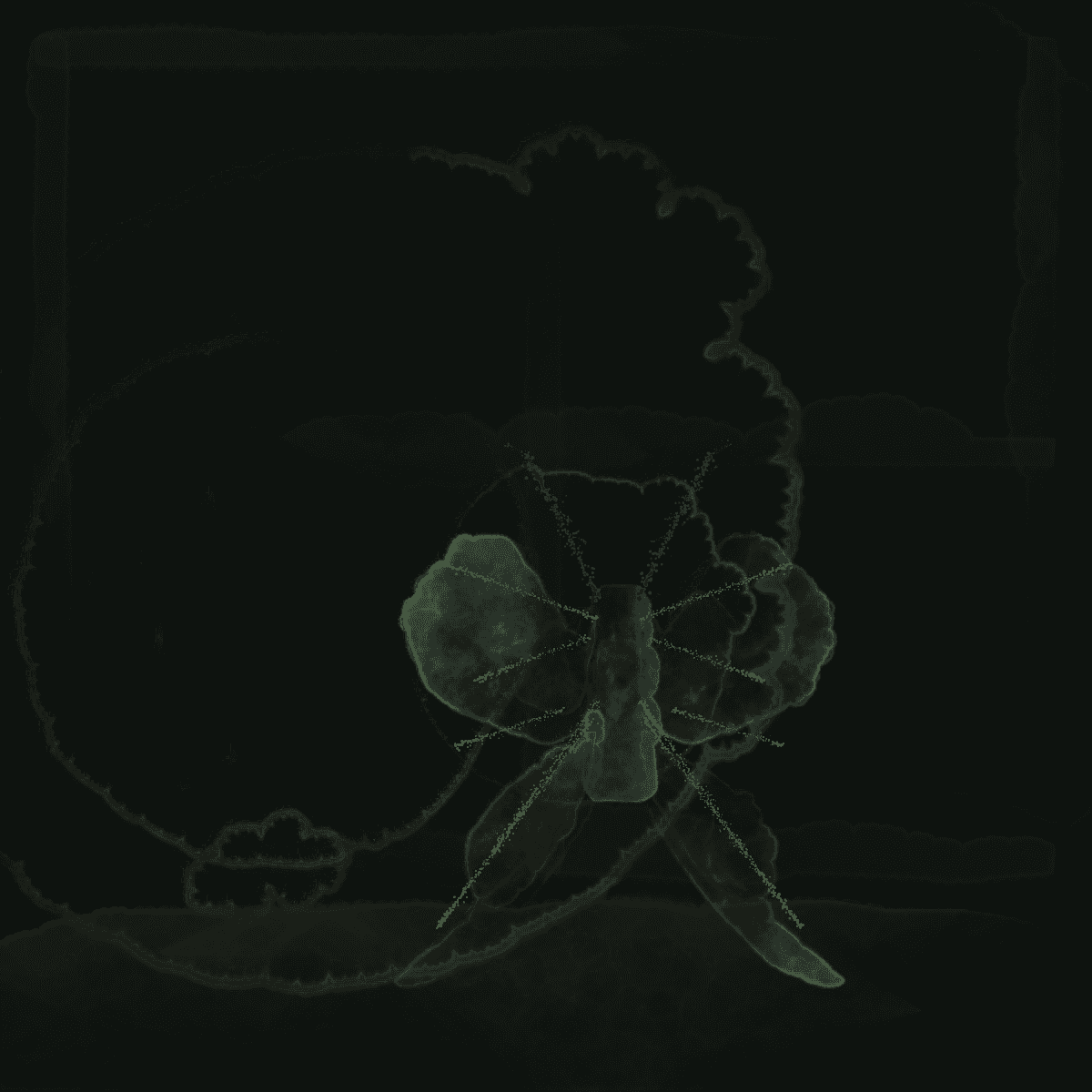 2026-08-24-proven-night-moth-template-v1 · baseline, rendered by Unattributed renderer