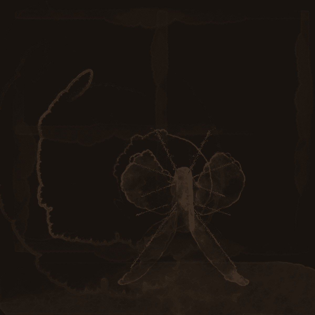 2026-08-24-proven-night-moth-template-v1 · umber, rendered by Unattributed renderer