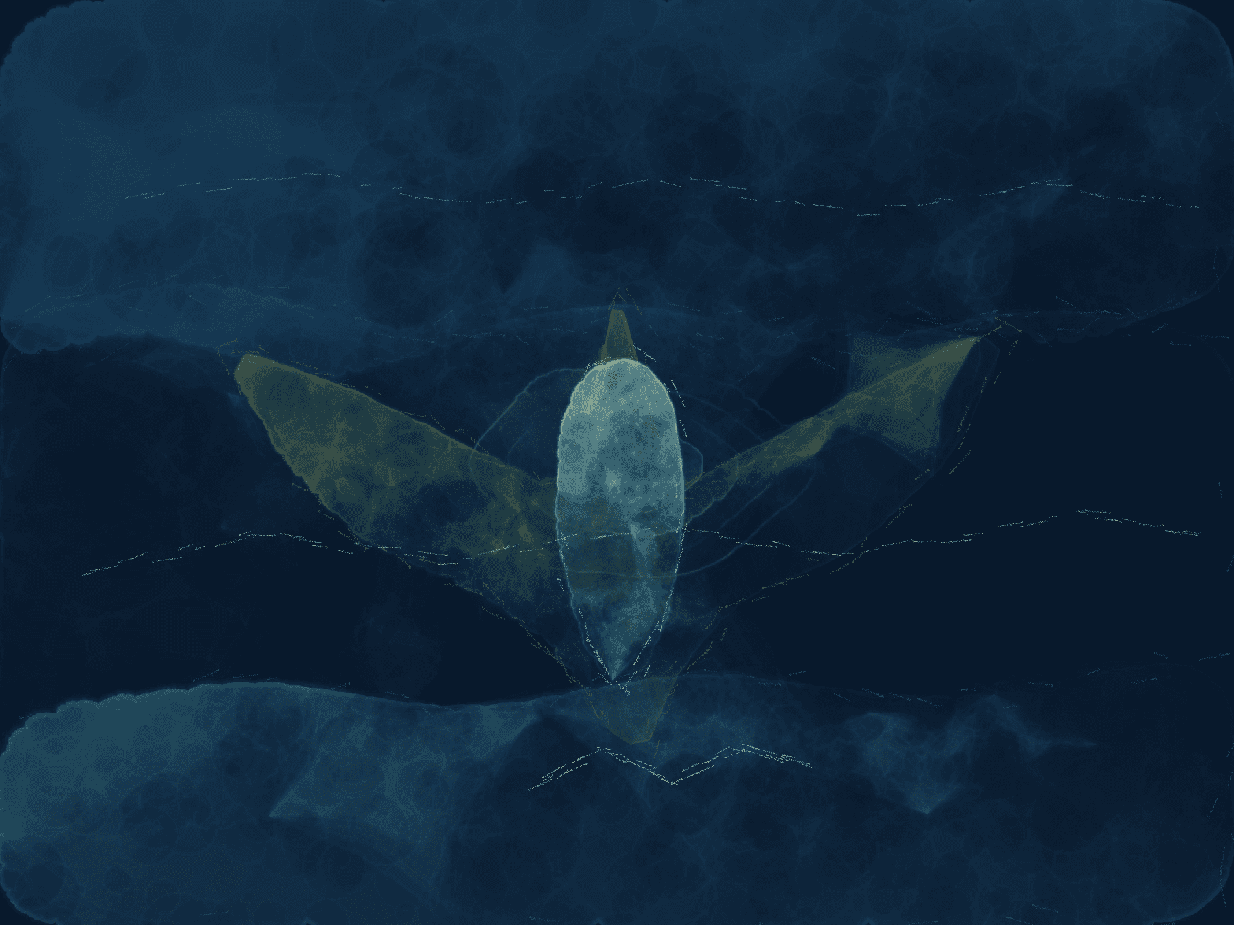 model-plan-painter-fixture · van-gogh-nocturne-moth, rendered by Unattributed renderer
