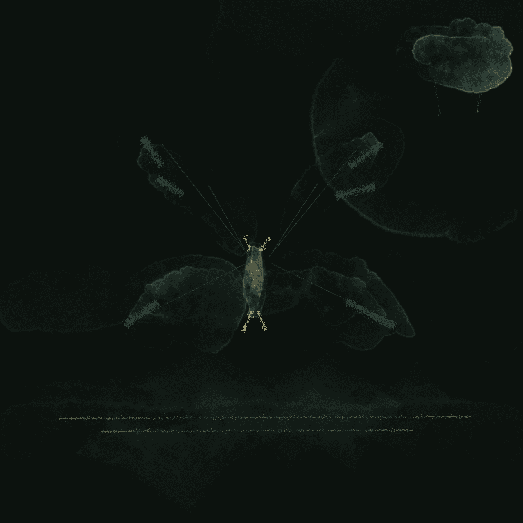 2026-08-24-taste-v2-bounded-calibration · van-gogh-moth-bounded-v1-gpt-5-6-luna-01-replay-v1-painting, rendered by gpt-5.6-luna