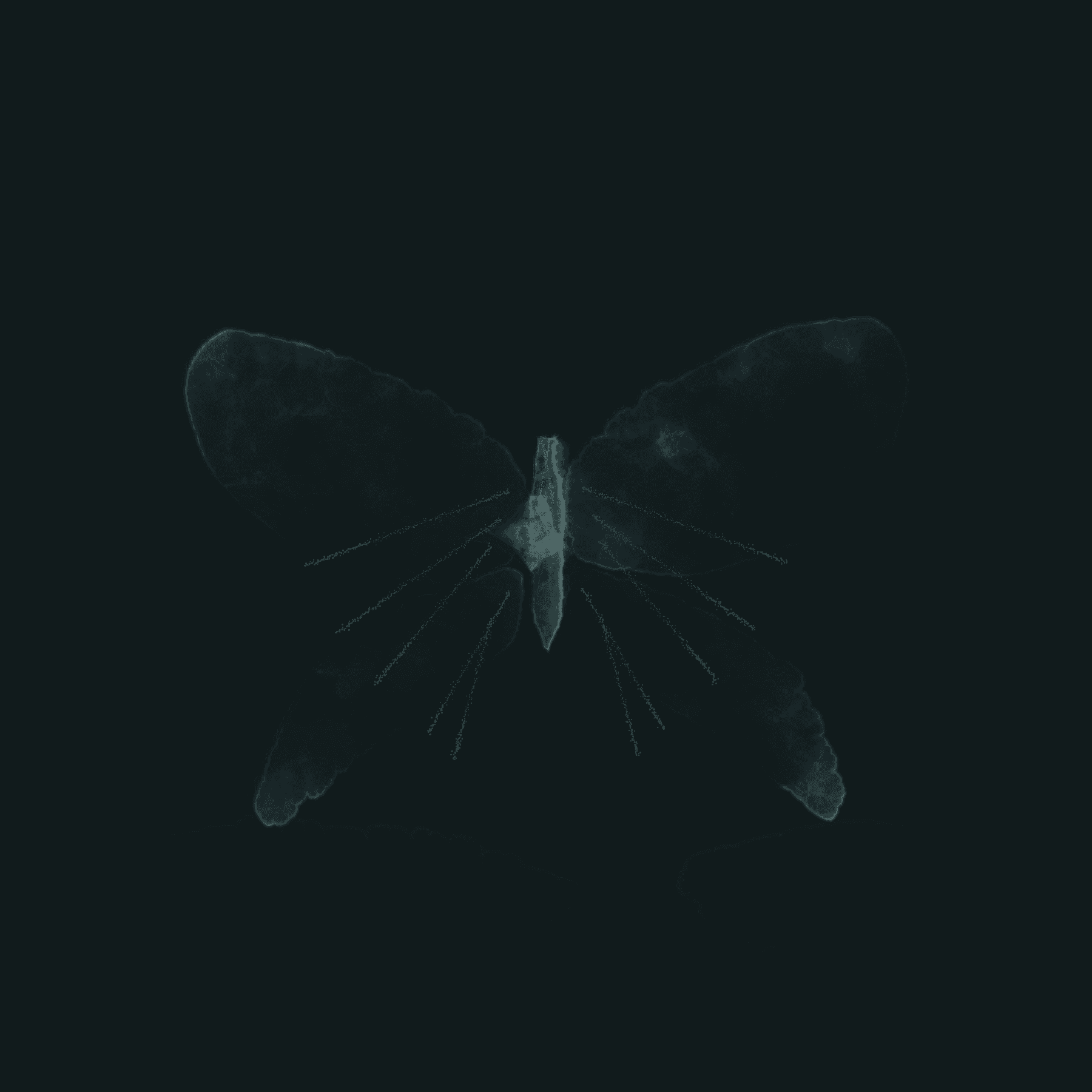 2026-08-24-van-gogh-moth-surgical-repair-v1 · repaired-painting, rendered by Unattributed renderer