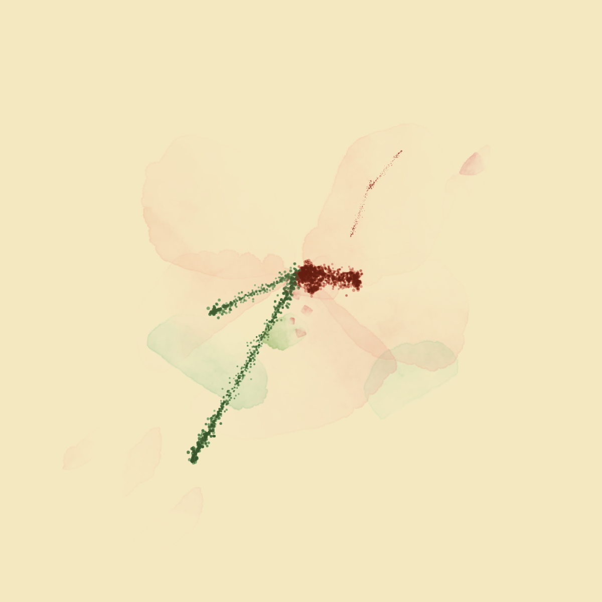 Peach hibiscus, Inkling