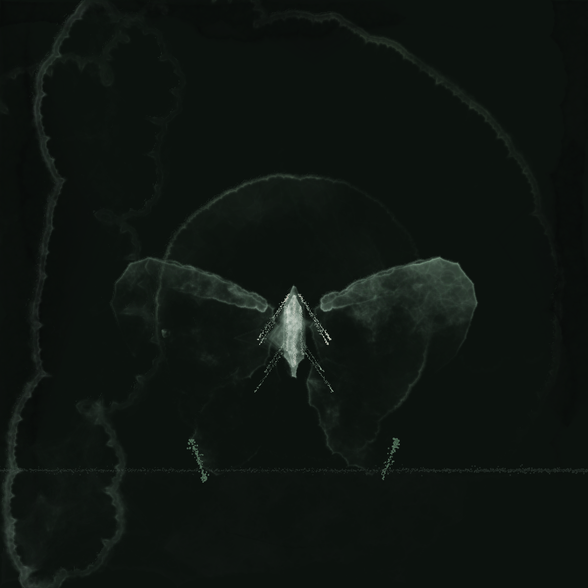 Luna moth at night, Qwen 3.8 Max