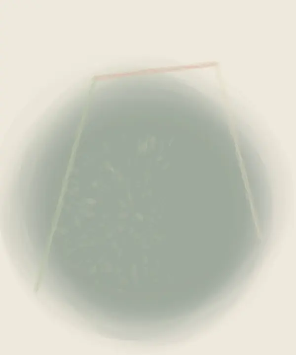 Shelter With a Missing Wall: cumulative painting state 1 of 4; Shelter With a Missing Wall stages incomplete shelter pressure as reciprocal material consequence.