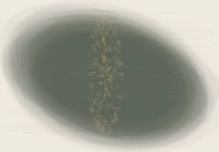 Tenderness at the Verge: cumulative painting state 4 of 4; Tenderness at the Verge stages porous tender fringe as reciprocal material consequence.