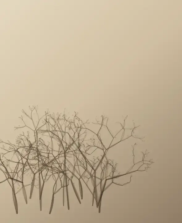Breath Through Thorns: cumulative painting state 2 of 4; Breath Through Thorns answers the prompt through thorn pressure utterance, authored as an independent deterministic raster system.