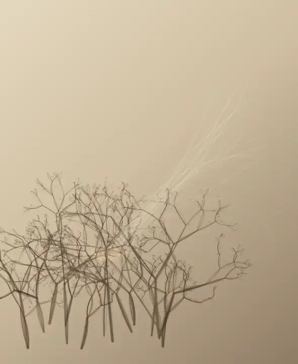 Breath Through Thorns: cumulative painting state 4 of 4; Breath Through Thorns answers the prompt through thorn pressure utterance, authored as an independent deterministic raster system.