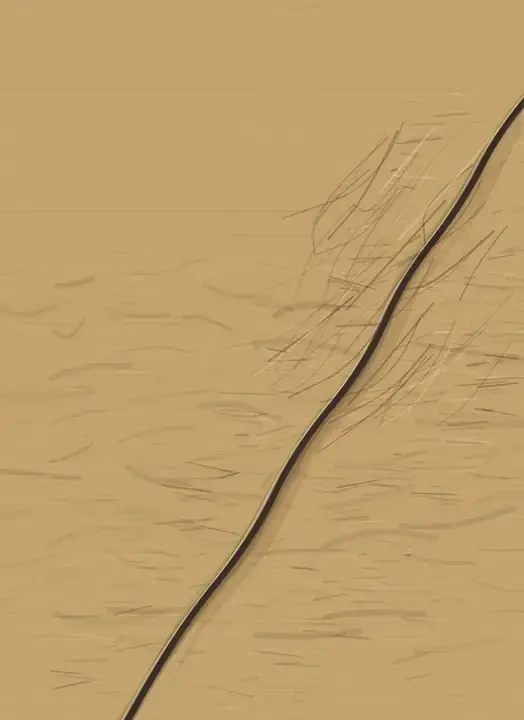 The Sand Learns One Direction: cumulative painting state 4 of 4; The Sand Learns One Direction answers the prompt through command-combed desert, authored as an independent deterministic raster system.