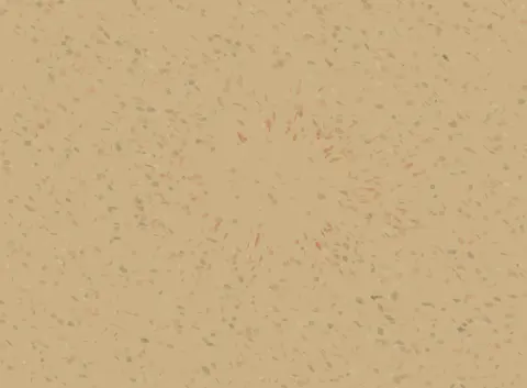 Dust Holds an Unspoken Shape: cumulative painting state 3 of 4; Dust Holds an Unspoken Shape makes dust density reorganizes around an erased center visible.