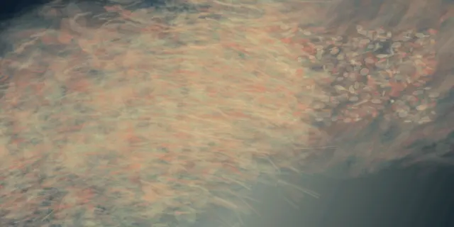 An oblique cropped pressure plane sheds copper and lichen broken color into storm air; the fin-like impulse is sensed through wind and never resolves as anatomy.