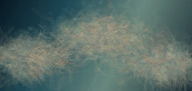 A broad estuary-like field carries changing fiber tension, dye pooling, and reflective phase across an open lower interval without becoming a neural diagram.