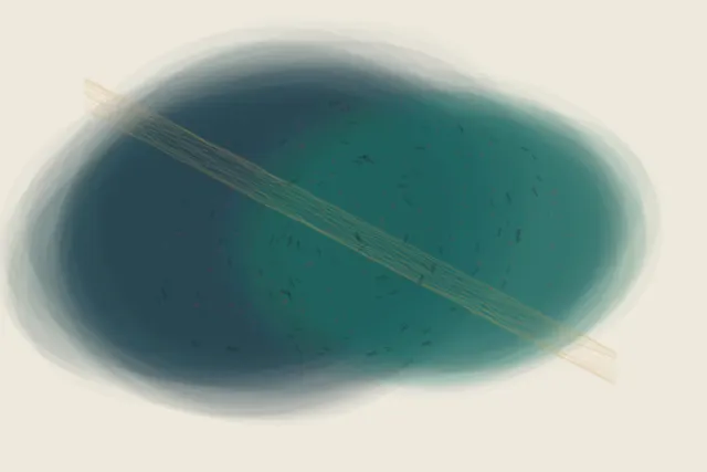 The Agreement Has Skin translates braided membranes into a local relational field.