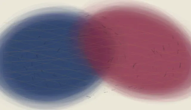 No Border Holds the Body translates transboundary tissue into a local relational field.