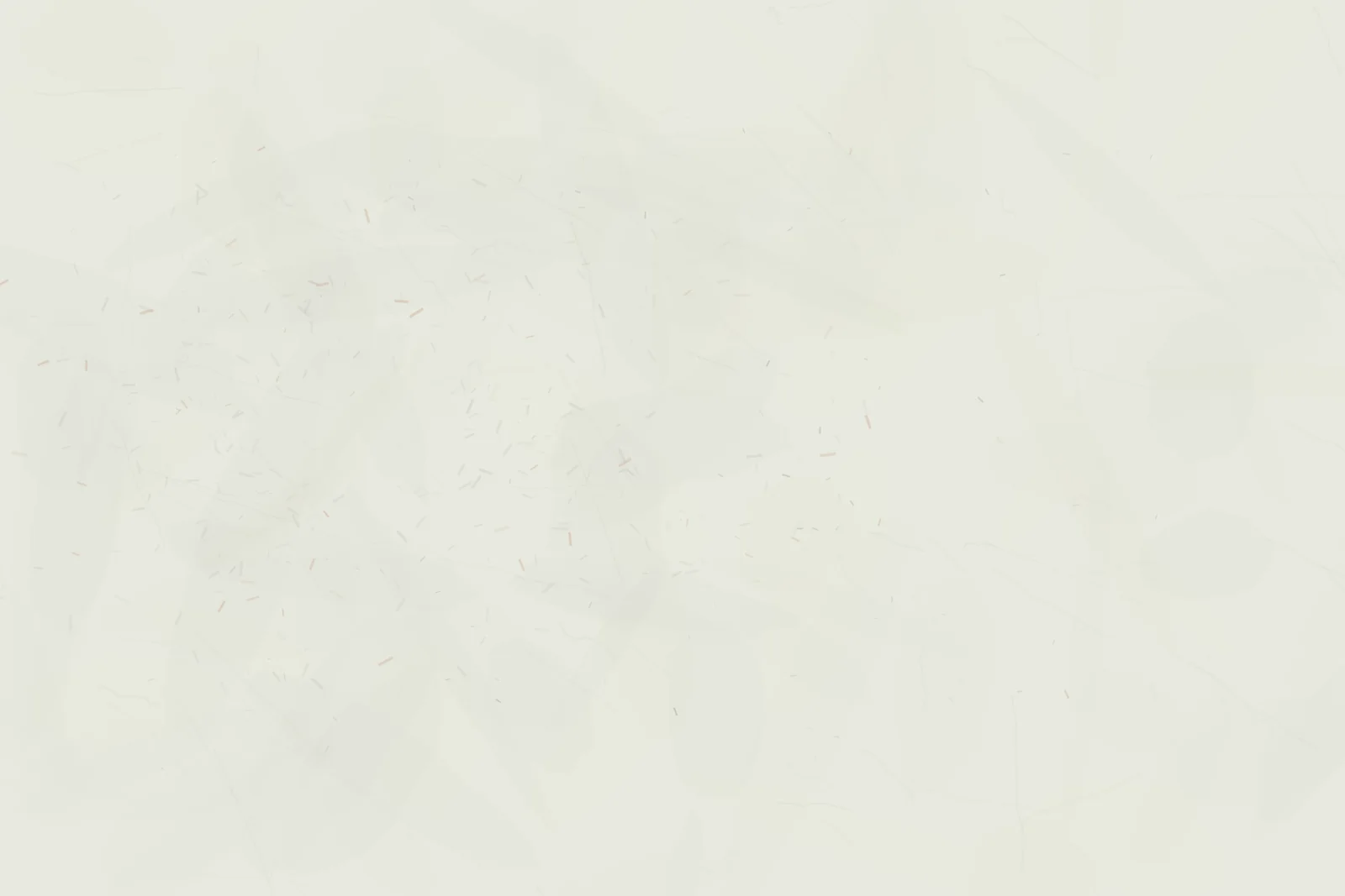 Fine snow grain closes around a small warm refusal without forming a figure.