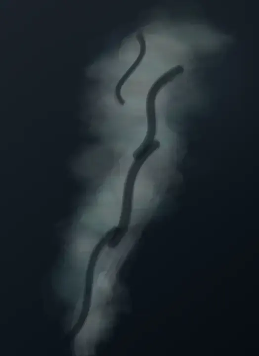 Smoke Without Its Fire: cumulative painting state 3 of 4; Smoke Without Its Fire studies wake and remainder through an independently authored deterministic raster system.